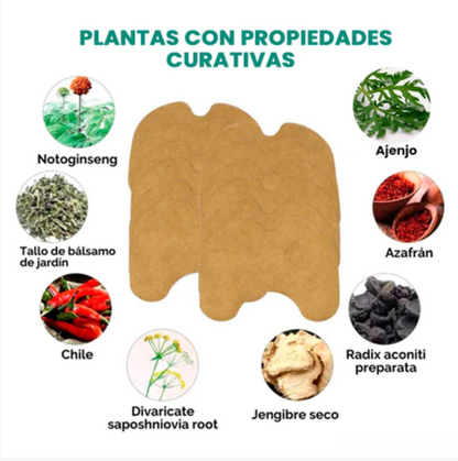 🔥Parches Naturales KneePatch